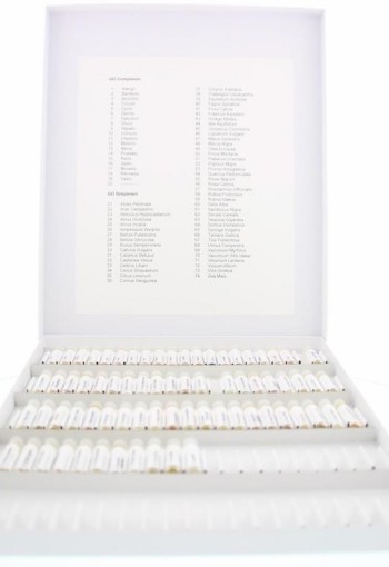 GO Testdoos Go (1 Set)