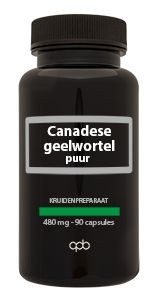 Apb Holland Canadese geelwortel extract puur forte 480mg (90 Vegetarische capsules)