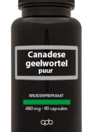 Apb Holland Canadese geelwortel extract puur forte 480mg (90 Vegetarische capsules)