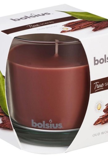 Bolsius True Scents geurglas 95/95 old wood (1 Stuks)