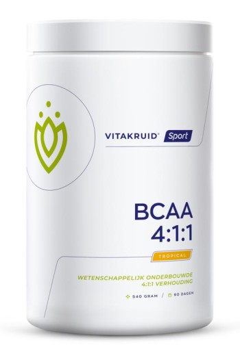 Vitakruid BCAA 4:1:1 l-leucine, l-isoleucine & l-valine (540 Gram)