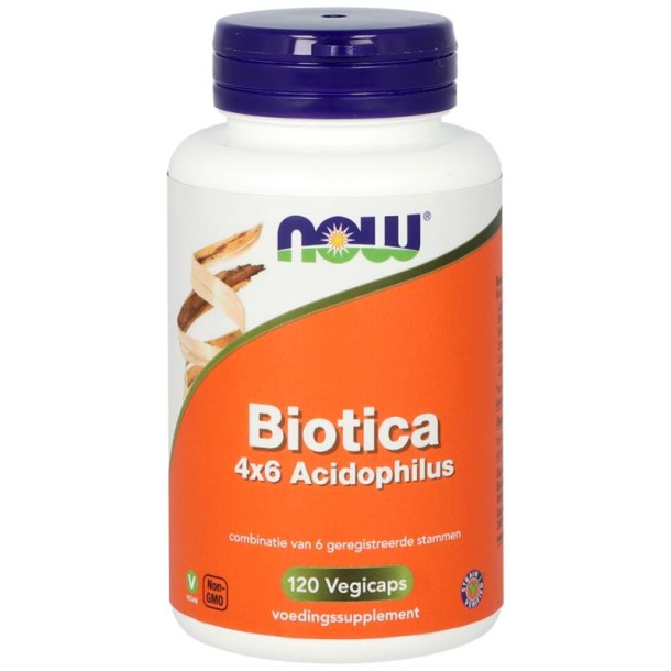 NOW Biotica 4 x 6 acidophilus (120 Vegetarische capsules)