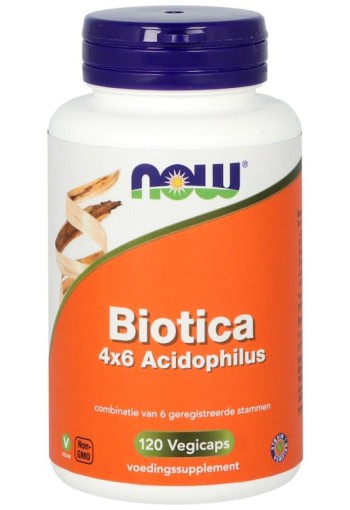 NOW Biotica 4 x 6 acidophilus (120 Vegetarische capsules)