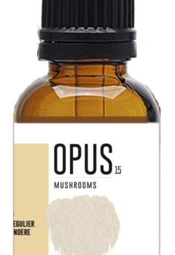 Opus Mushrooms Lions mane 2:1 bio (30 Milliliter)