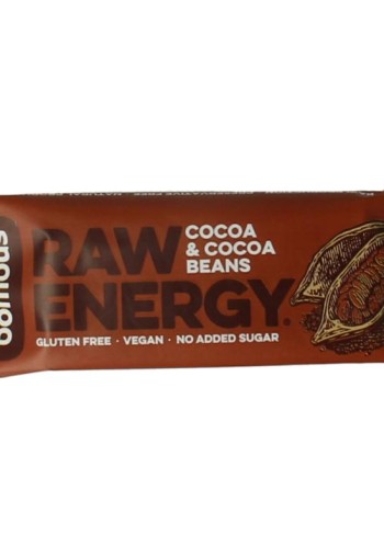Bombus Raw energy bar cocoa & cocoa beans (50 Gram)