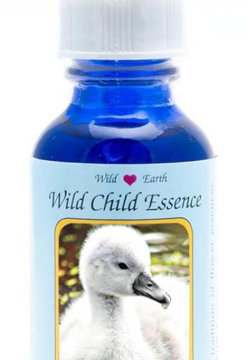 Animal Essences Cygnet (zwaan kuiken) (30 Milliliter)