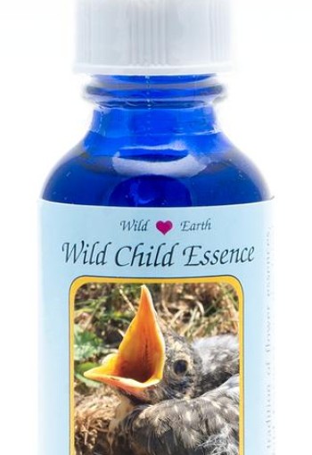 Animal Essences Robin chick (roodborst) (30 Milliliter)