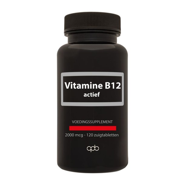 Apb Holland Vitamine B12 actief 2000mcg (120 Zuigtabletten)