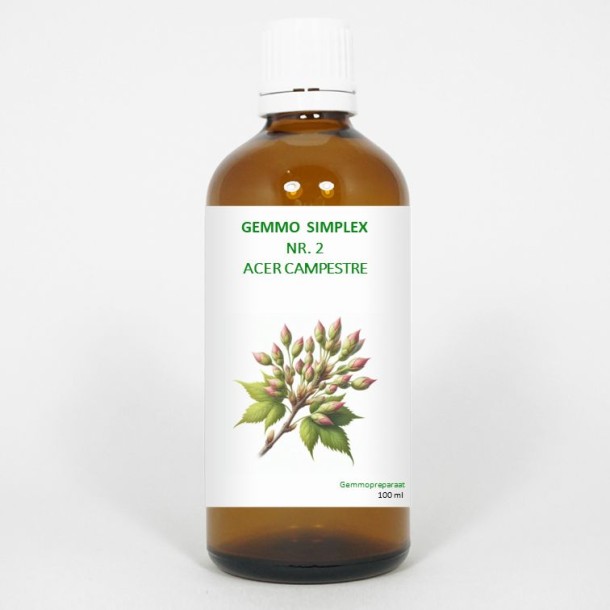 Balancepharma Gemmo simplex 2 acer campestre (100 Milliliter)