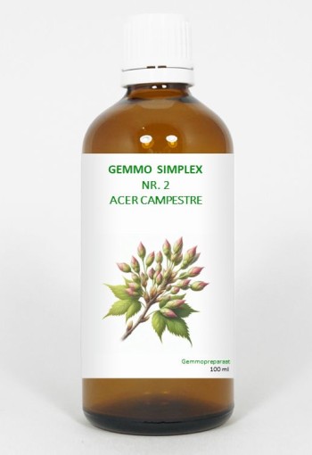 Balancepharma Gemmo simplex 2 acer campestre (100 Milliliter)