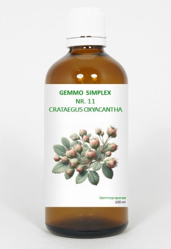 Balancepharma Gemmo simplex 11 crataegus oxyacantha (100 Milliliter)