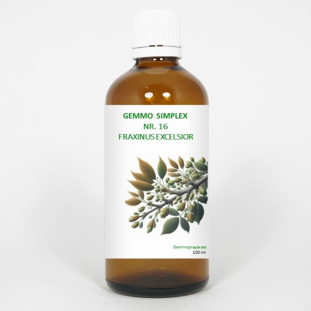 Balancepharma Gemmo simplex 16 fraxinus excelsior (100 Milliliter)