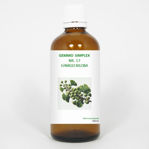 Balancepharma Gemmo simplex 17 ginkgo biloba (100 Milliliter)