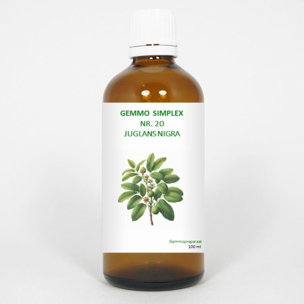 Balancepharma Gemmo simplex 20 juglans nigra (100 Milliliter)