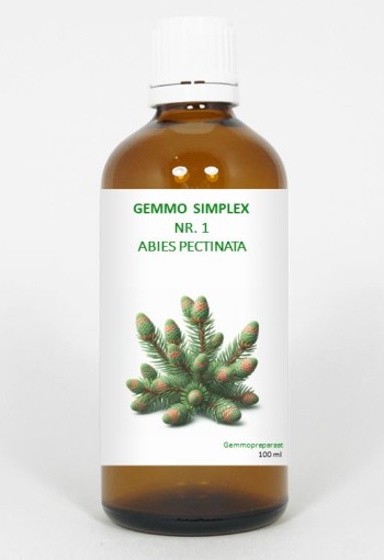 Balancepharma Gemmo simplex 1 abies pectinata (100 Milliliter)