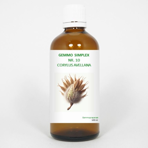 Balancepharma Gemmo simplex 10 corylus avellana (100 Milliliter)