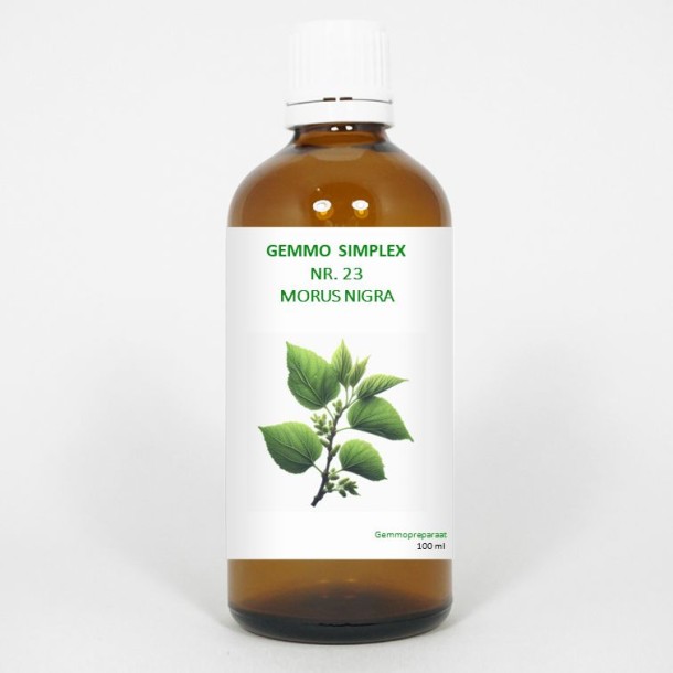 Balancepharma Gemmo simplex 23 morus nigra (100 Milliliter)