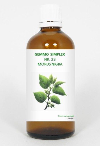 Balancepharma Gemmo simplex 23 morus nigra (100 Milliliter)