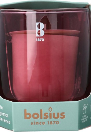 Bolsius Clean light startkit cedarwood & vetiver (1 Stuks)