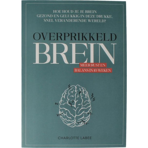 Charlotte Labee Overprikkeld brein (1 Boek)