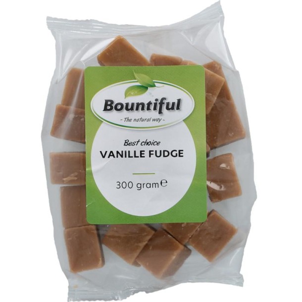 Bountiful Fudge vanille (300 Gram)