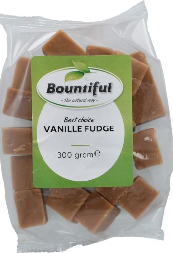 Bountiful Fudge vanille (300 Gram)