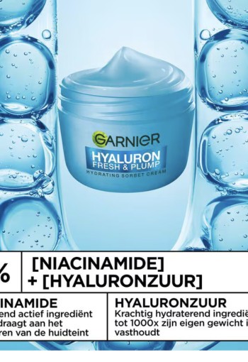 Garnier Hyaluron Fresh & Plump Hydraterende Sorbet Creme 85 M