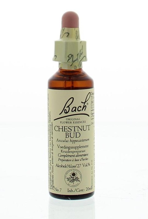 Bach Chestnut bud/kastanjeknop (20 Milliliter)