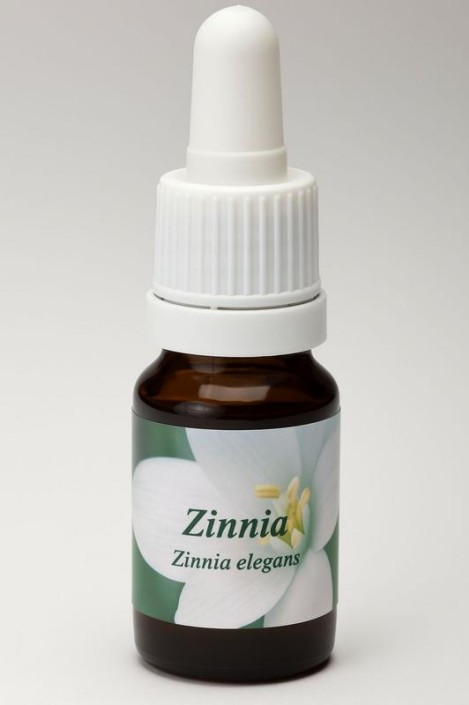 Star Remedies Zinnia (10 Milliliter)
