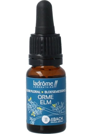 Ladrome bloesemessence elm bio