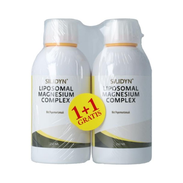 Silidyn Liposomal Magnesium Compl 250ml AKTIE 1+1 gratis
