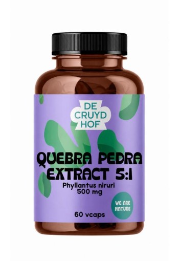 De Cruydhof De Cruydhof Quebra Pedra extract 5:1, 60 vcaps