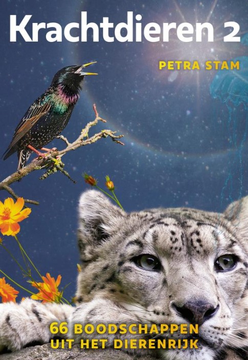 A3 boeken Krachtdieren 2 kaartenset (1 Set)
