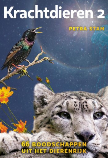 A3 boeken Krachtdieren 2 kaartenset (1 Set)