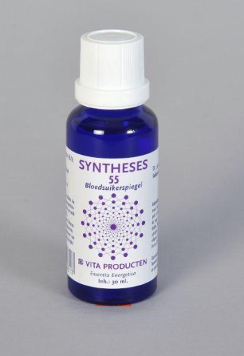 Vita Syntheses 55 bloedsuikerspiegel (30 Milliliter)
