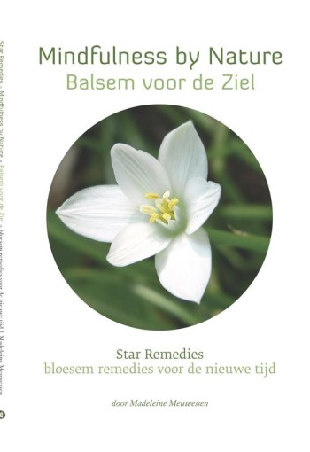 Star Remedies Mindfulness by nature balsem voor de ziel (1 Boek)