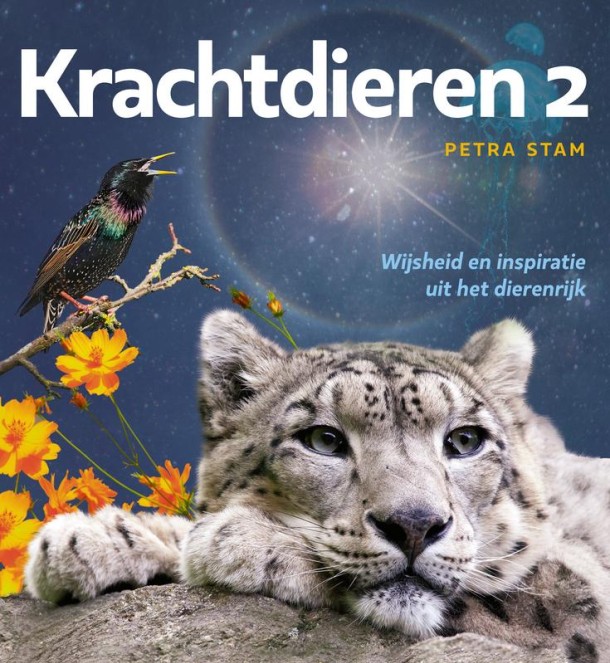 A3 boeken Krachtdieren 2 - wijsheid en inspiratie dierenrijk (1 Stuks)