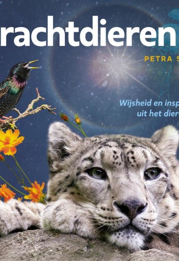 A3 boeken Krachtdieren 2 - wijsheid en inspiratie dierenrijk (1 Stuks)