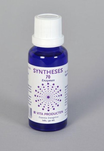 Vita Syntheses 70 spijsvertering enzym (30 Milliliter)