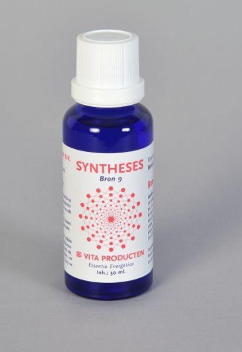Vita Syntheses bron 9 metafysische energie (30 Milliliter)