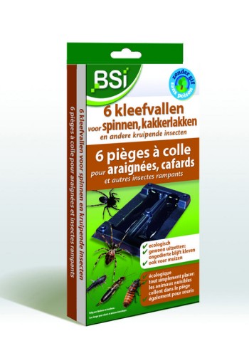 BSI Kleefvallen voor spinnen (6 Stuks)