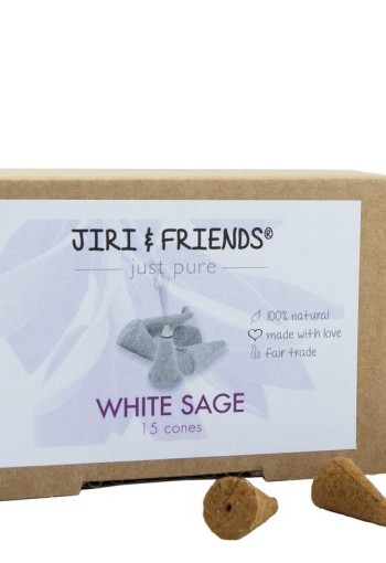 Jiri & Friends Cones witte salie (15 Stuks)