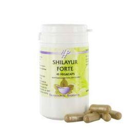 Holisan Shilayur forte (45 Vegetarische capsules)