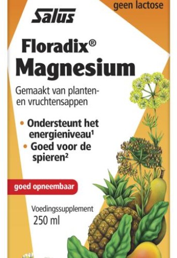 Salus Floradix magnesium (250 Milliliter)