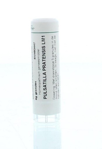 Homeoden Heel Pulsatilla pratensis LM1 (6 Gram)