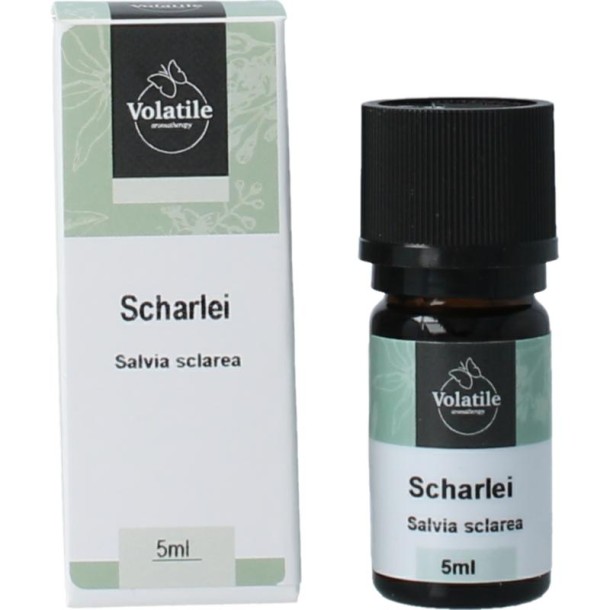 Volatile Scharlei (5 Milliliter)