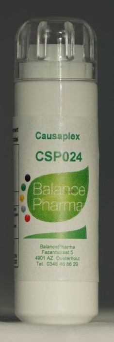 Balance Pharma CSP 024 Artrisode Causaplex (6 Gram)