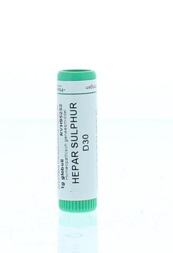 Homeoden Heel Hepar sulphur D30 (1 Gram)