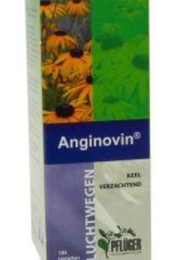 Pfluger Anginovin (100 Tabletten)