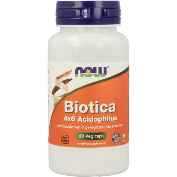 NOW Biotica 4x6 acidophilus (60 Vegetarische capsules)